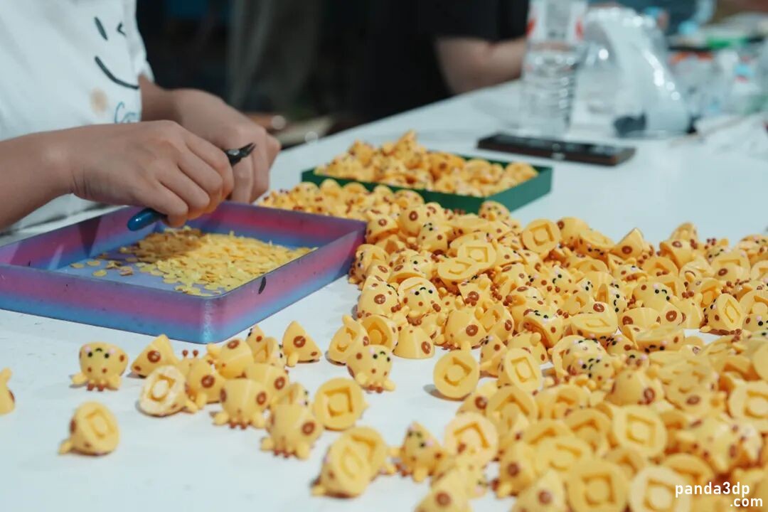 093157flssnmmnssbqlzsu.jpg